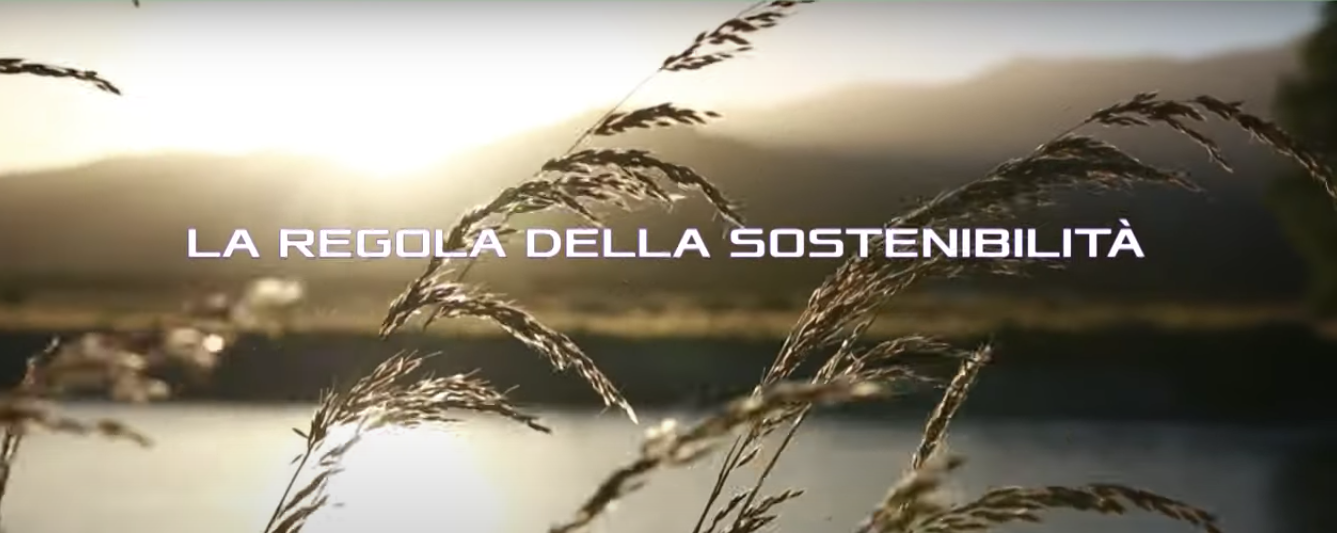Immagine di La Regola della Sostenibilità