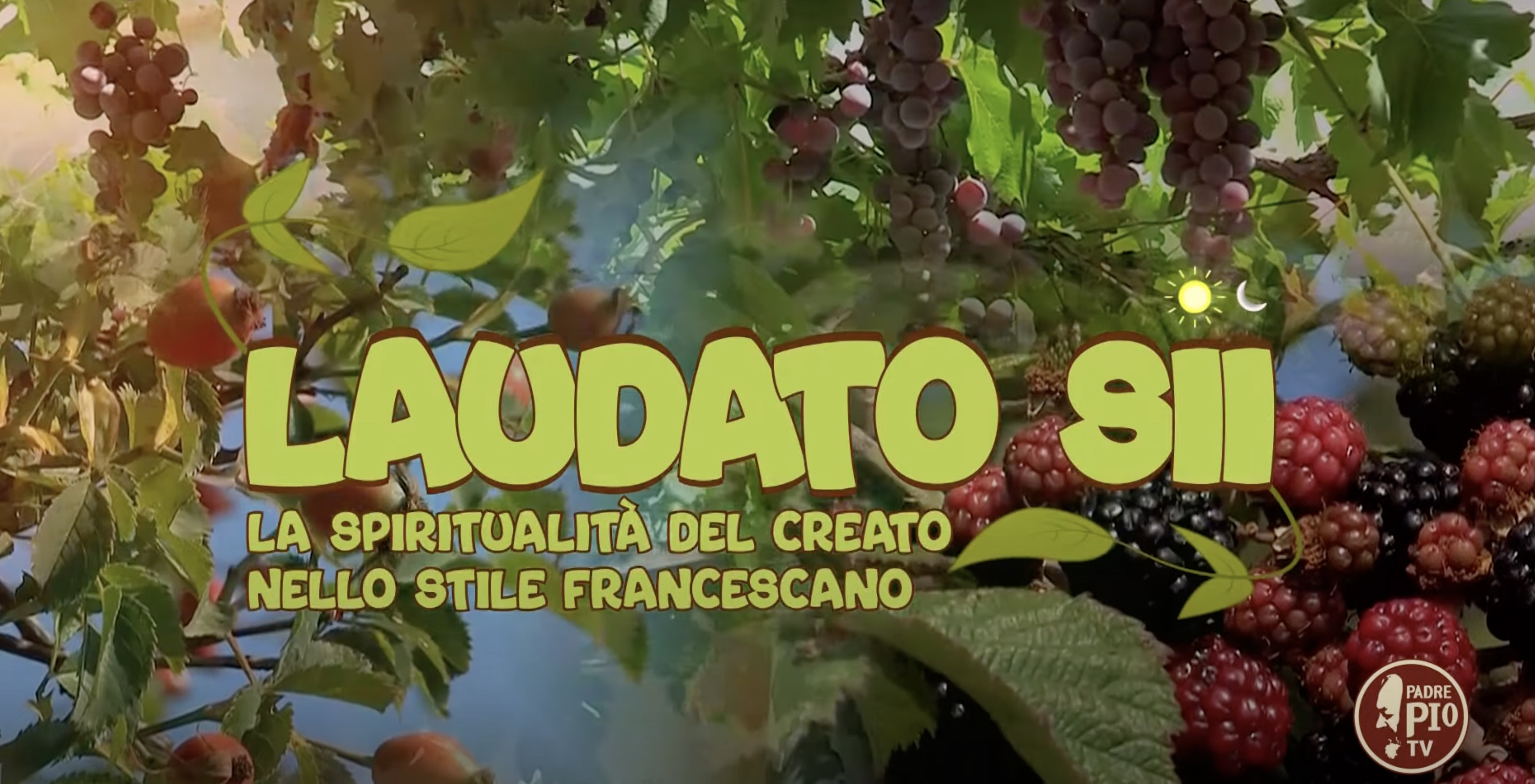 Immagine di Laudato Sii